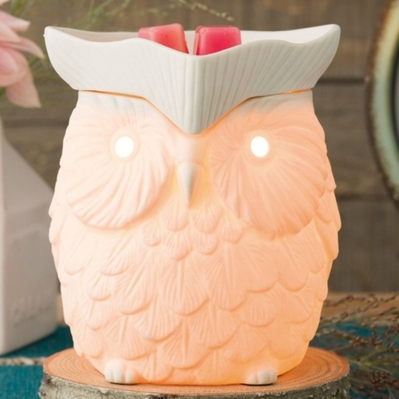 Scentsy Other - SCENTSY | WHOOT